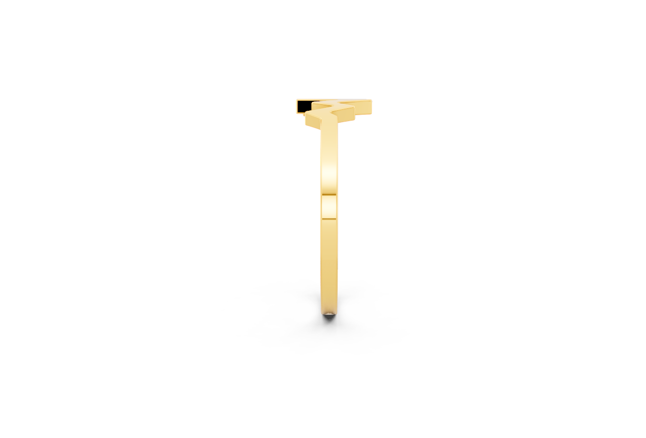 Sparsh - 14K Gold Heartbeat Ring